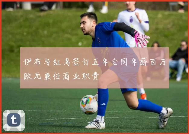 伊布与红鸟签订五年合同年薪百万欧元兼任商业职责