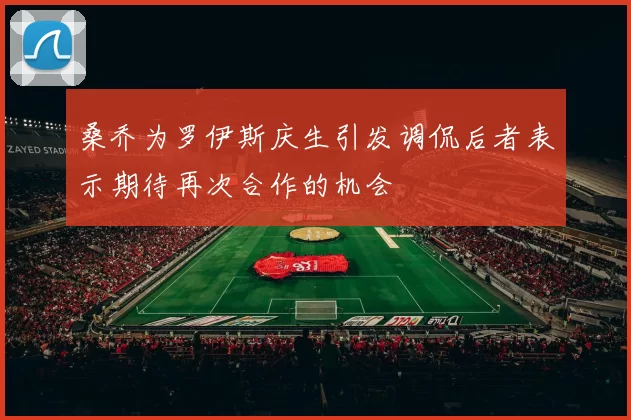 桑乔为罗伊斯庆生引发调侃后者表示期待再次合作的机会