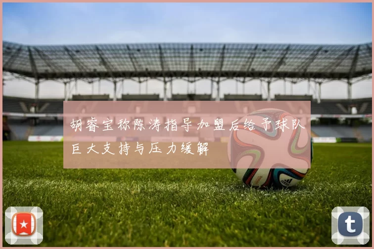 胡睿宝称陈涛指导加盟后给予球队巨大支持与压力缓解