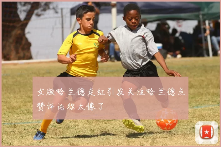 女版哈兰德走红引发关注哈兰德点赞评论称太像了